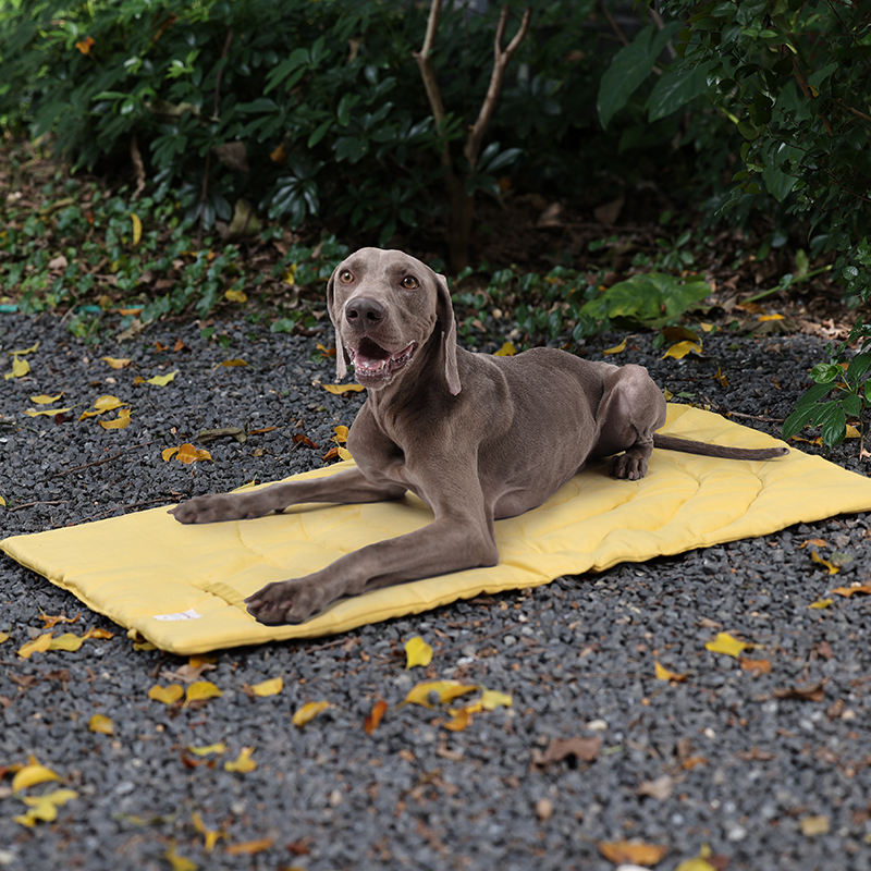 Portable Pet Mat Foldable Pet  - огляд і ціна Camping Cot Foldable
