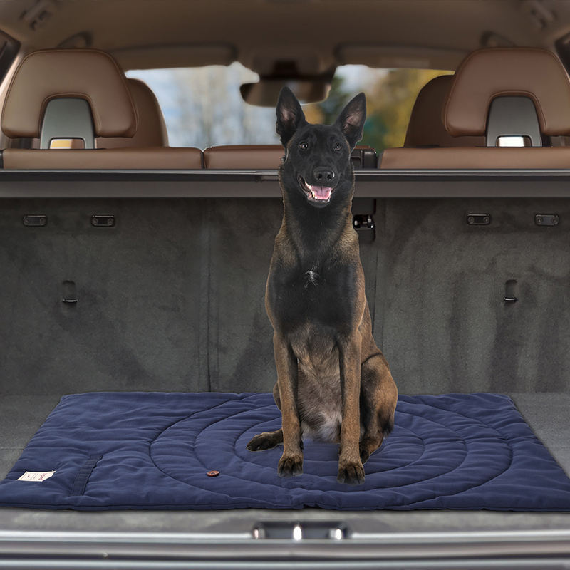 Portable Pet Mat Foldable Pet  - огляд і ціна Camping Cot Foldable